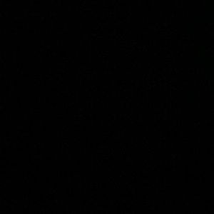 Meet your Posher, Shy